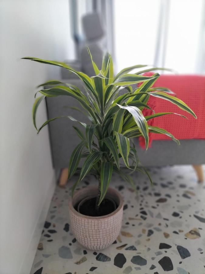 Appartamento Casa Dos Minos Bruno Cangas do Morrazo Esterno foto